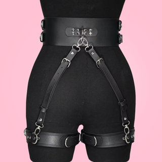 a rear view of the waist and thigh straps, there are a multiple of places that the lead can be attached to.