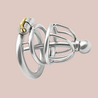 A small sized metal chastity cage with a chaste bird head, one spacer ring that fits to the base ring and allows the integral lock to be fixed. This can has a removal metal urethral tube.