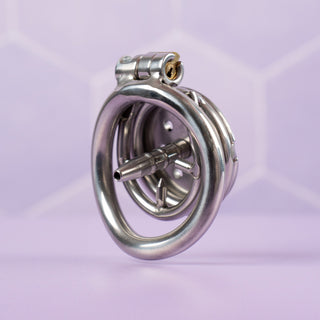 another angle of the rear view, with the cage fully assembled.