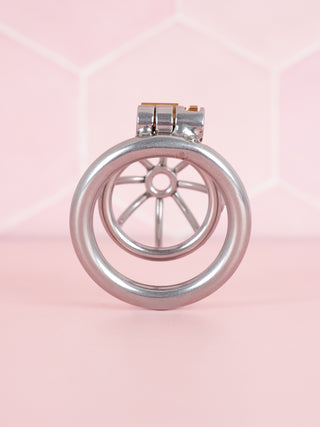 A rear view of the full submission chastity cage, you can see through the base ring and into the cage.