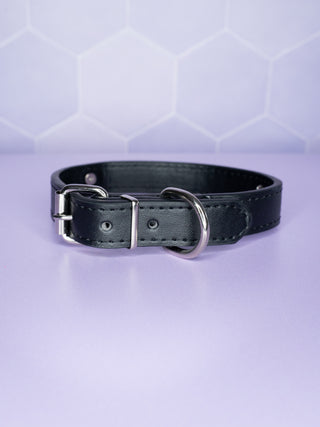 A rear view of the black collar, the buckle, D-ring and adjustable strap can be seen.