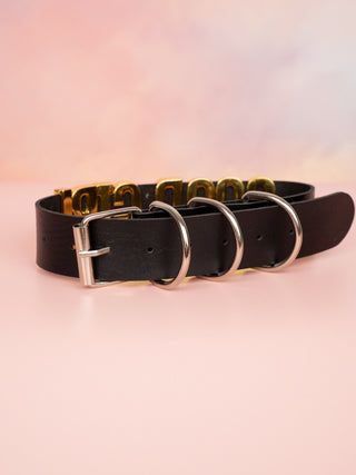 The rear view of the black Good Girl Collar can be seen, the adjustable strap and silver buckles can be seen.