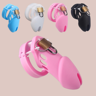 The  HOC600 With Wire Lock chastity cage from House Of Chastity. The cage is shown fully assembled with the padlock and wire in place.. The picture also shows the small size cage available and the four colours that this cage comes in.