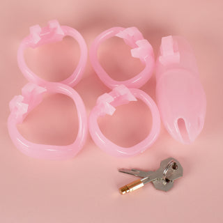 Each element included with the HT V4 Maxi kit is shown here, 1 cage, 4 base rings, 1 lock and two keys