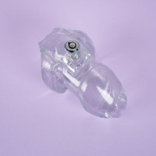 A rear view of the HT V5 Chastity Cage in transparent.