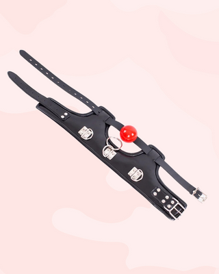 A flat view of the high necked collar, you can see the buckles, gag and o-ring