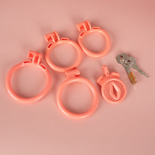 This image shows all elements included with The Inverted Sissy Pussy Chastity Cage Design 1, 1 cage, 4 base rings, 1 lock and two keys