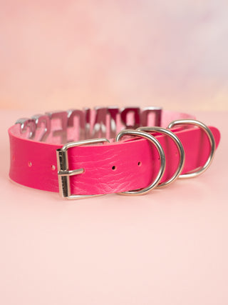 The rear view of the bright pink Princess collar, you can see the silver buckle and D Rings.