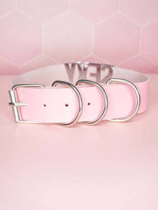 The rear view of the pale pink collar, adjustable strap, buckle and D-rings.