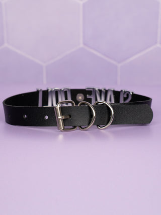 A rear  view of the slimline collar, you can see the matching silver buckles.