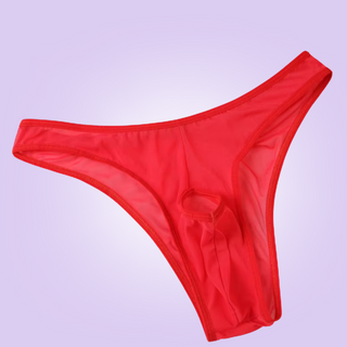 Sheer Bikini Brief With Hole