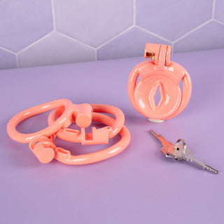 All elements that come in the chastity cage kit are shown here.