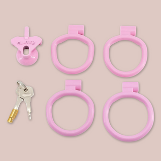 This image shows the full kit, the cage, 4 individually sized base rings, lock and 2 keys.