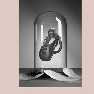 This is a beautiful well thought out cage and this image showcases the chastity cage in a display case.