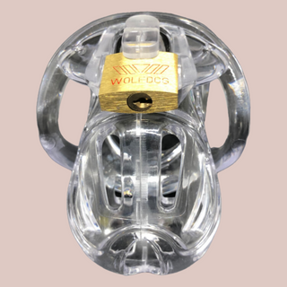 The Loc'd clear small cock cage, shown assembled and with its padlock in place.