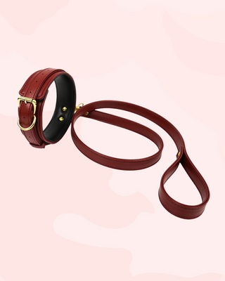 Brown  collar and leash set on a light pink background