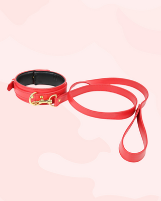 Red collar and lead set on a light pink background