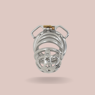 The Starburst chastity cage from House Of Chastity is shown here fully assembled but without its chastity belt. You can see the beautifully designed head and smooth ringed body.