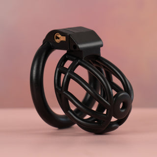 An angled view of the chastity cage, it is shown here fully assembled.