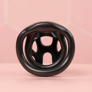 An internal view of the chastity cage