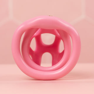 An internal view of the chastity cage