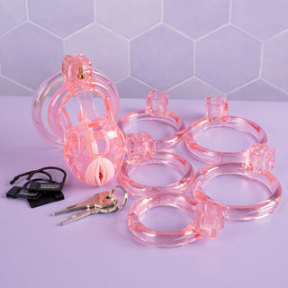 A view of everything that included in the kit.