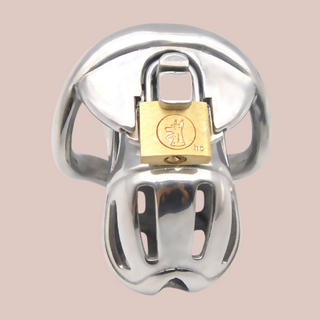 A front view of The Loc'd Steel chastity cage, the cage is fully assembled with the submerged padlock in place.