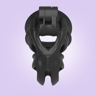 An over view of the black chastity cage fully assembled.