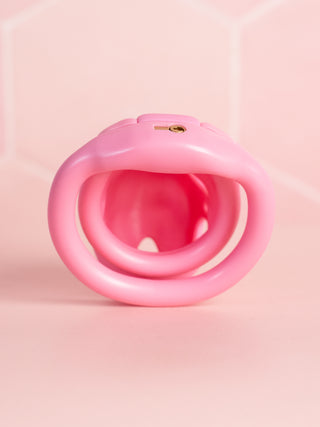 The rear view of the chastity cage, you can see the rear of the base ring and the small integral lock in place.