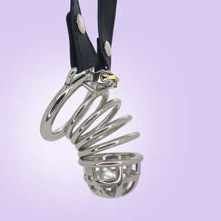 The Starburst metal chastity cage from House Of Chastity is shown here fully assembled and with its chastity belt fixed in place.