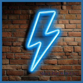 HOC600 Shocker Chastity Cage & Handset Instructions