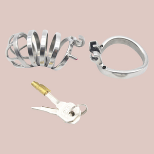 Shown here are all of the elements that make up the kit, the cage, the base ring, the padlock and 2 keys.