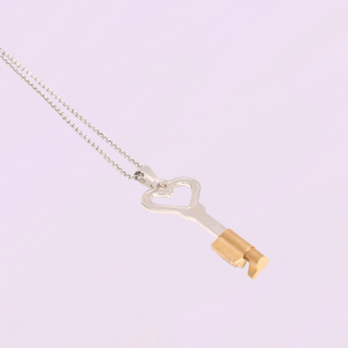 The Captivate Key in silver is shown with its padlock still attached.