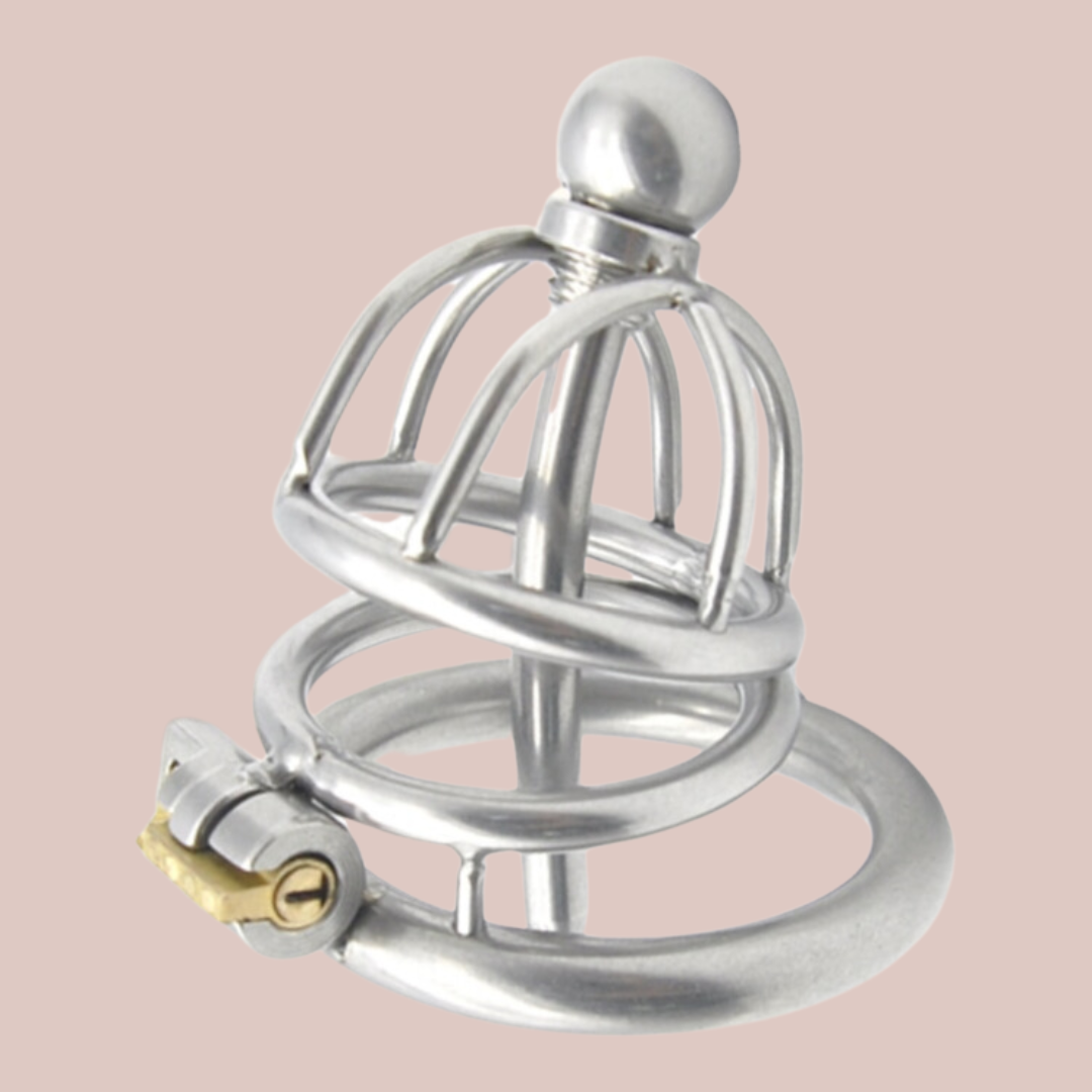 A small sized metal chastity cage with a chaste bird head, one spacer ring that fits to the base ring and allows the integral lock to be fixed. This can has a removal metal urethral tube.
