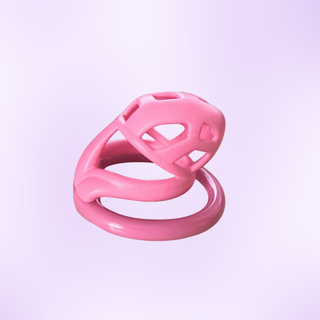 The Nano sized chastity cage sitting on its base ring