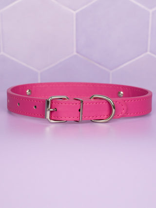 The rear view of the hot pink collar, the silver buckle and D-Ring can be seen, along with the adjustable collar.