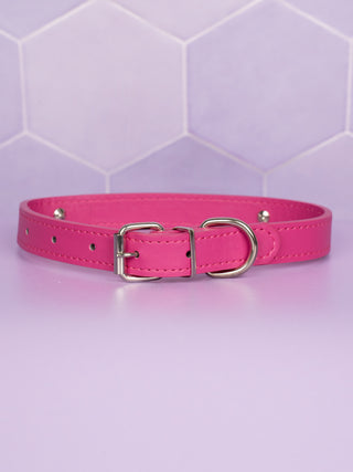 The rear view of the collar on a purple background