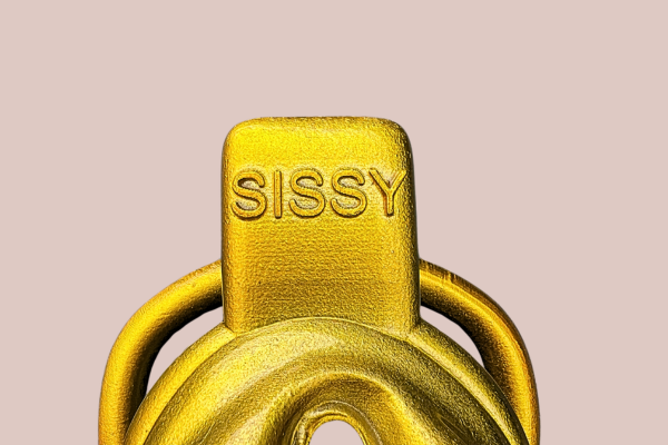 A close up of the SISSY lettering across the top of the chastity cage