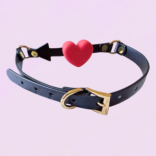 A close up of the gold hardware, the adjustable strap can be seen.