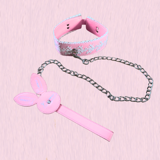 An image of the neck collar with lead attached.