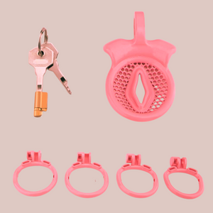 The kit that comes with the Inverted Sissy Pussy chastity cage, shown are the Design 1 cage, 4 x base rings, integral lock and 2 keys.