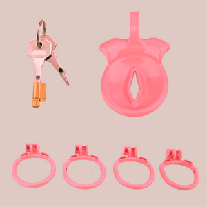 The kit that comes with the Inverted Sissy Pussy chastity cage, shown are the Design 2 cage, 4 x base rings, integral lock and 2 keys.
