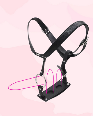 This image shows where the dildo's and penis can sit in this harness.