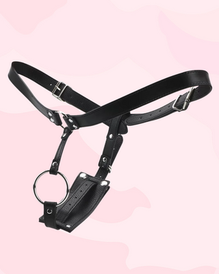 Another angled view of the Lock and Thrust Harness, the adjustable buckles can be clearly seen.