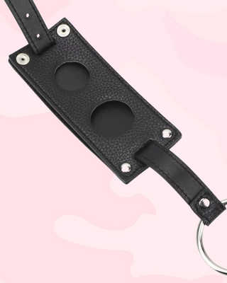 A close up of the dildo holders which sit under the body.