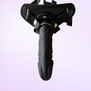 A view from above of the Lumen Glide strap on in its harness.