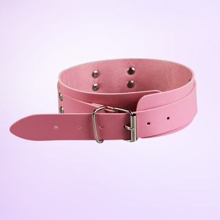 The rear view of the collar, the buckle can be clearly seen