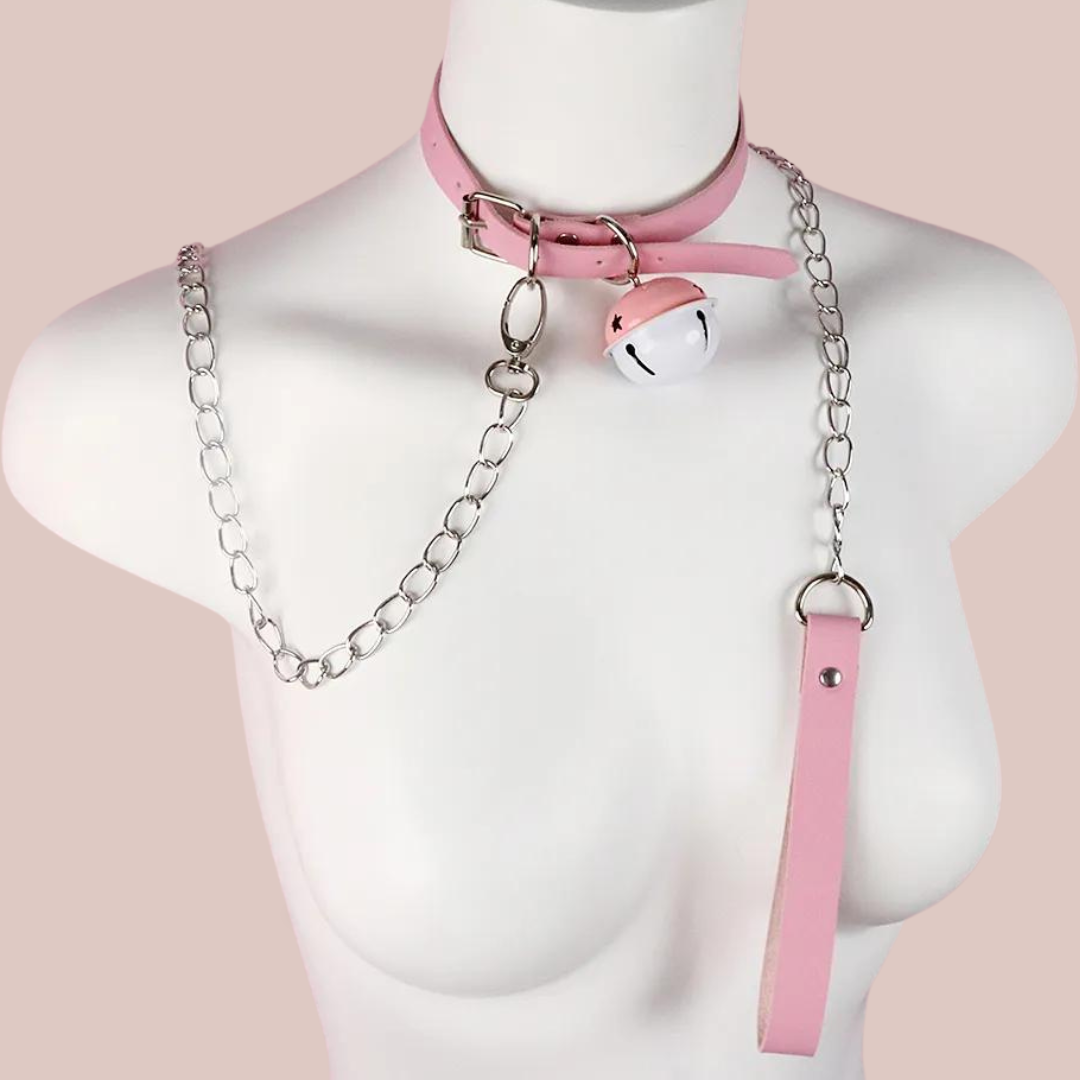 An alternate view of the collar and lead.