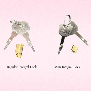 Two metal lock keys with small brass lock cylinders shown side by side on a light pink background, labeled 'Regular Integral Lock' and 'Mini Integral Lock'.