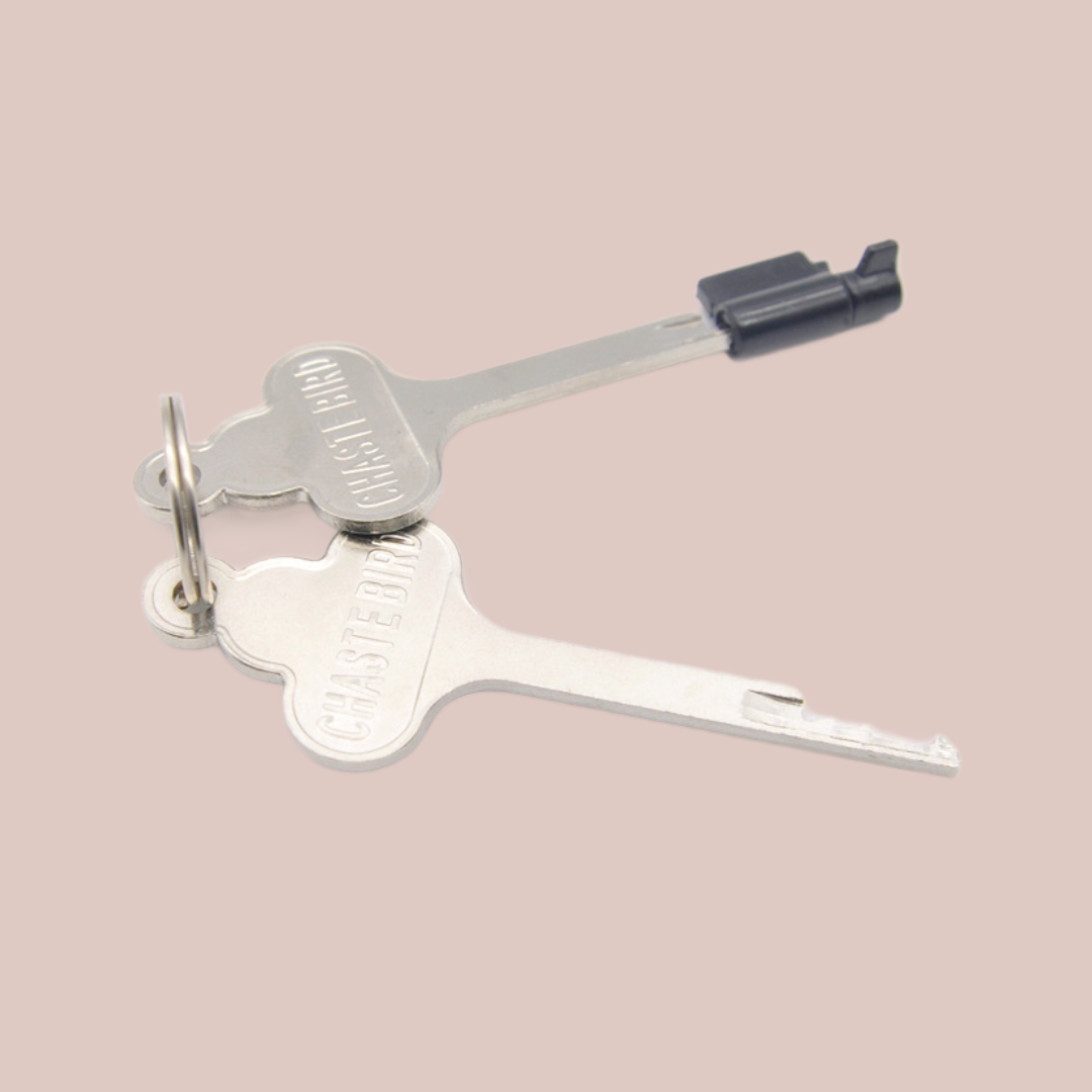 Replacement Stealth Plastic Lock For Chastity Cage – House of Chastity